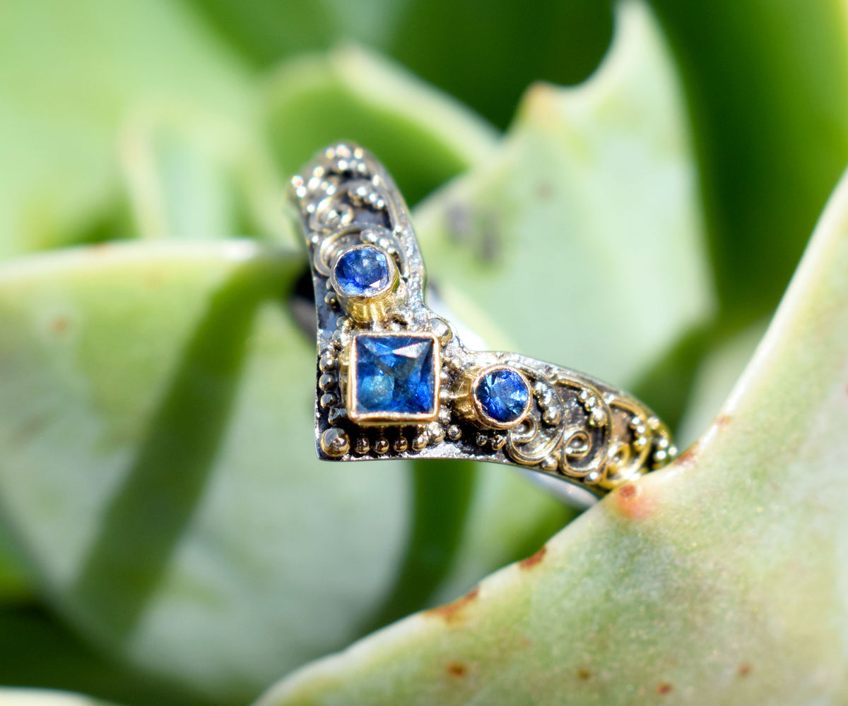 Anillo Fusion Princess Zafiro