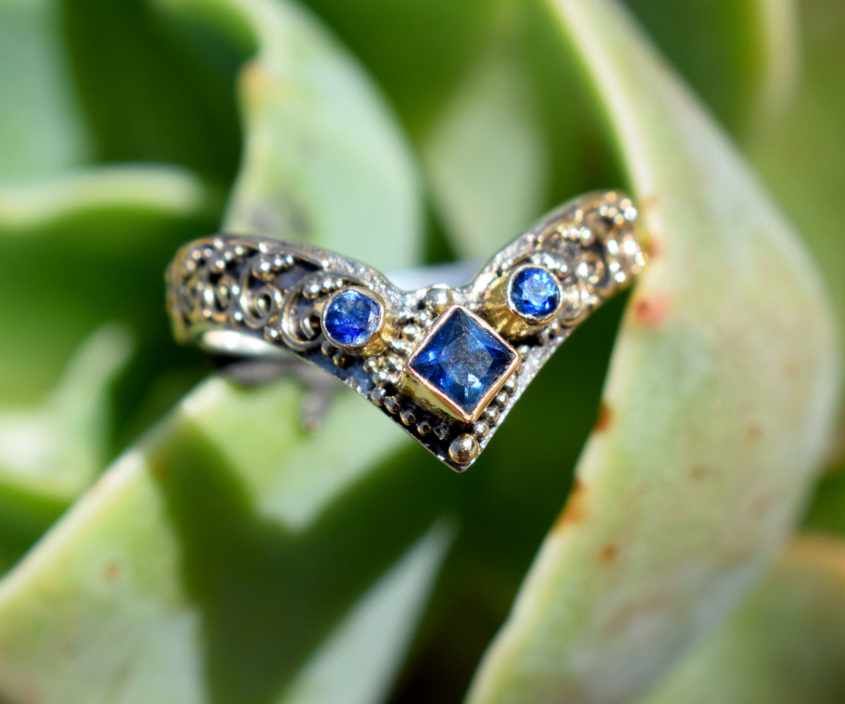 Anillo Fusion Princess Zafiro