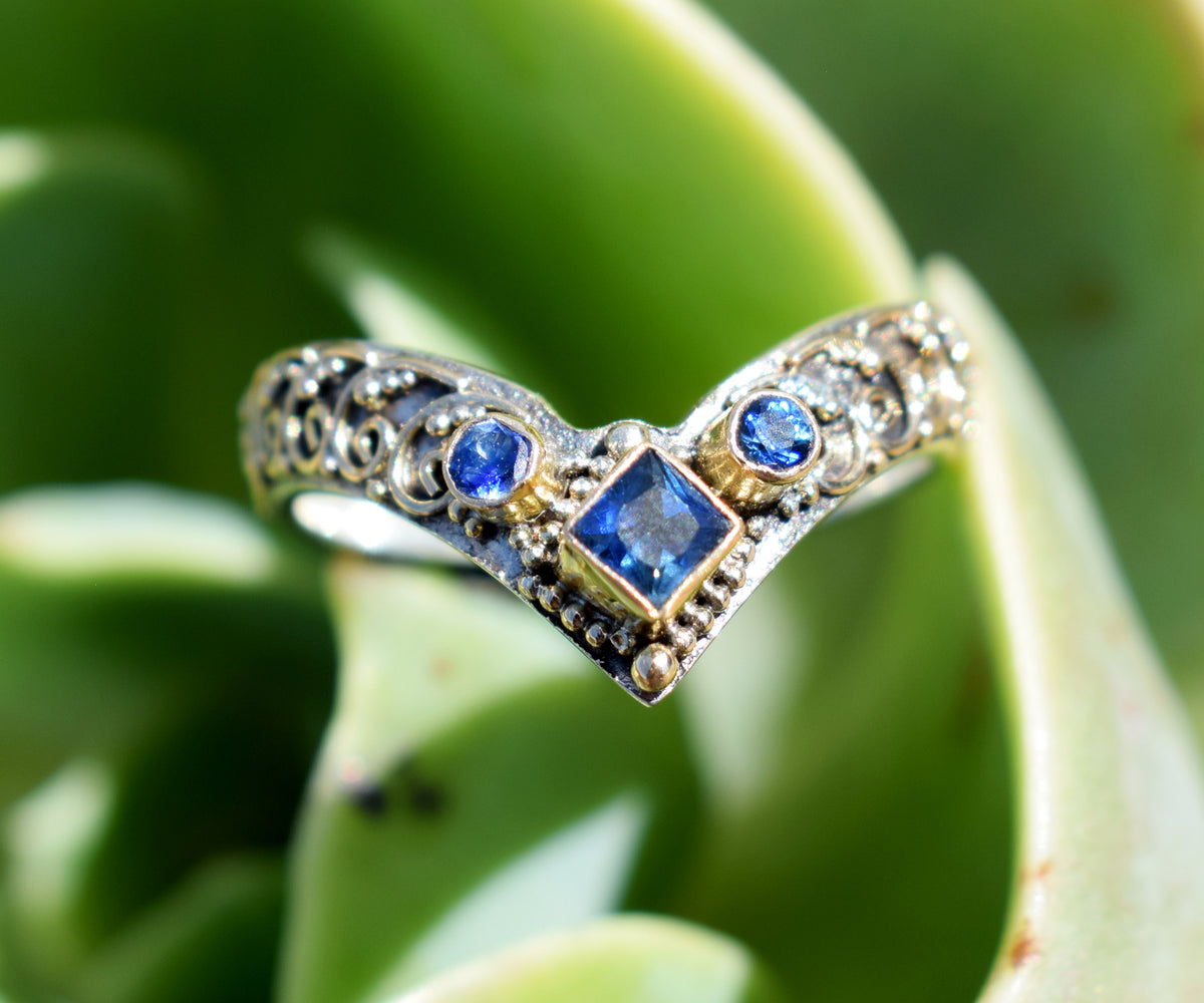 Anillo Fusion Princess Zafiro